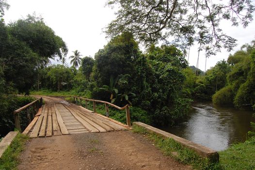 Timber bridge on gravel road in Papua New Guinea