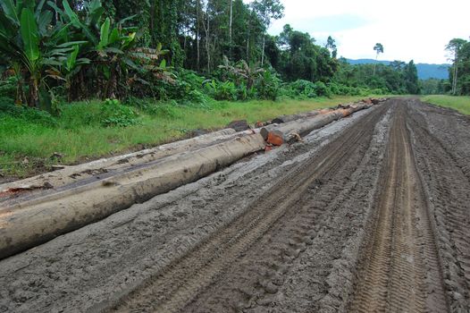 Haulage road in outback of Papua New Guinea