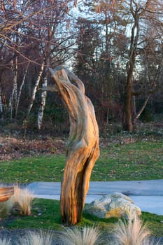 Photo of  old dry logs at sunset.