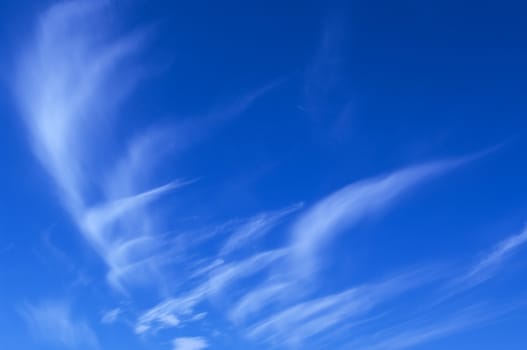 Summer blue sky with white clouds