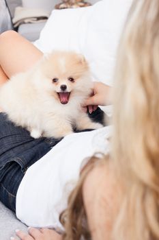 young woman playing with her tinny dog at home