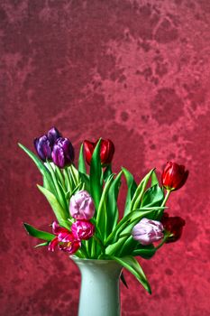 Bouquet of colorful tulip in a vase