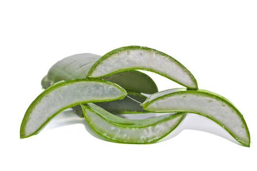 leaf of aloe on white background