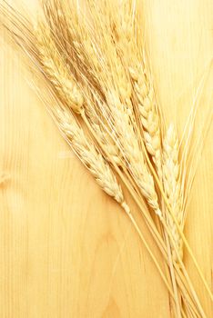 A closeup shot of some bearded wheat on a wooden board.