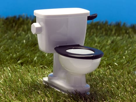 outside white toilet in the grass