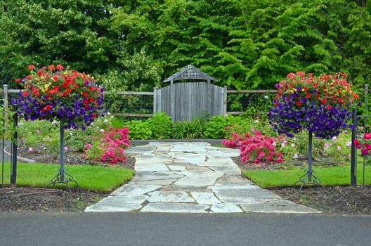 Colorful lush spring garden with petunia flower planters