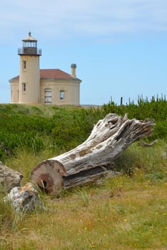 Pacific lighthouse and driftwood on beach in foreground