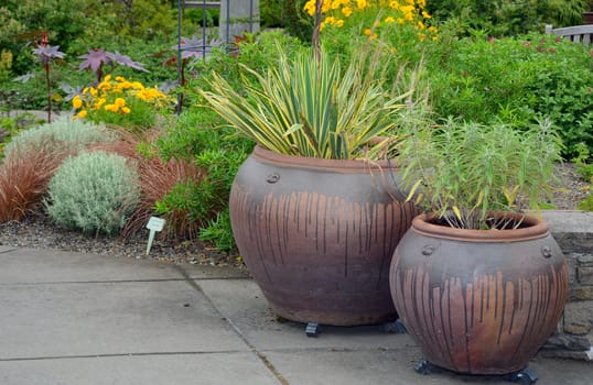 Two ceramic garden pots on the patio