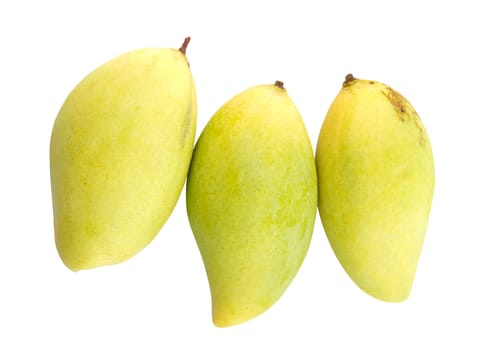 Fresh tropical mangoes on a white background