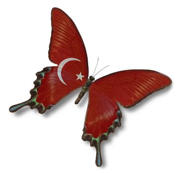 Turkish flag on butterfly isolated on white