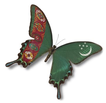 Turkmenistan flag on butterfly isolated on white