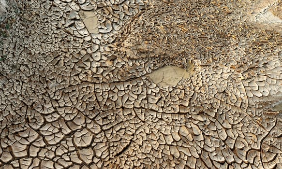 Dried mud pan cracked by the heat of the sun it a time of drought