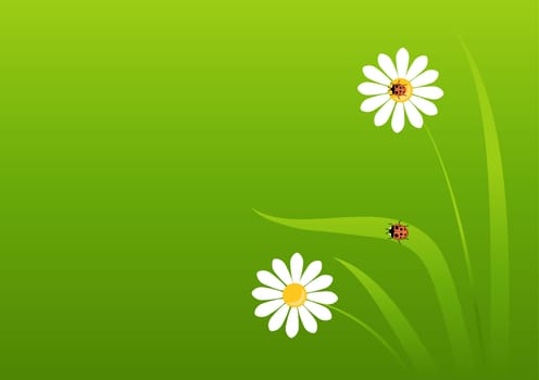 background with daisies and ladybug vector illustration