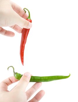 Hot peppers in hand isolated on a white