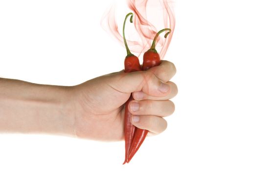Hot chilli peppers in hand isolated on a white
