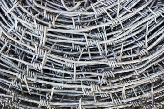 Stainless Barbed wire is coiled as a background