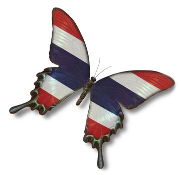 Thailand flag on butterfly isolated on white