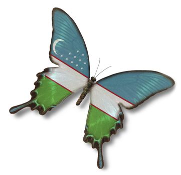 Uzbekistan flag on butterfly isolated on  white