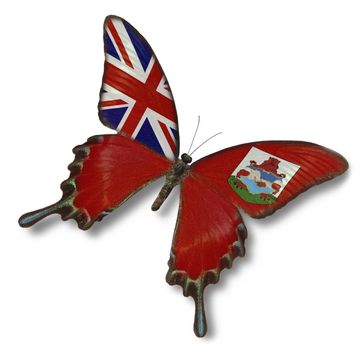 Bermuda flag on butterfly isolated on white