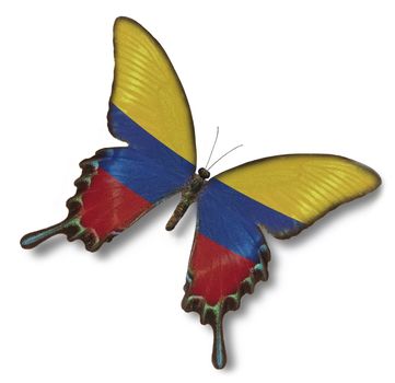 Colombia flag on butterfly isolated on white