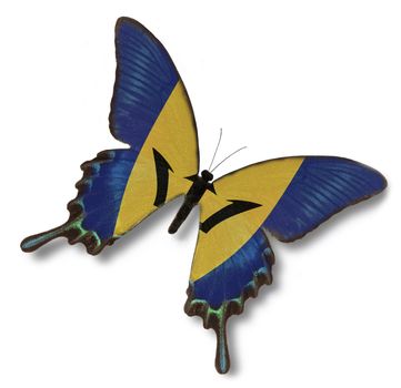 Barbados flag on butterfly isolated on white