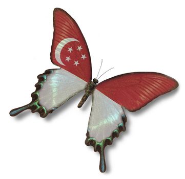Singapore flag on butterfly isolated on white