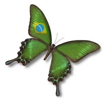 Brazil flag on butterfly isolated on white