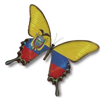Ecuador flag on butterfly isolated on white