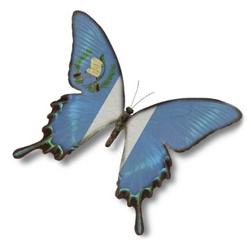 Guatemala flag on butterfly isolated on white