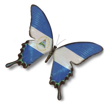 Nicaragua flag on butterfly isolated on white