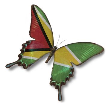 Gyana flag on butterfly isolated on white