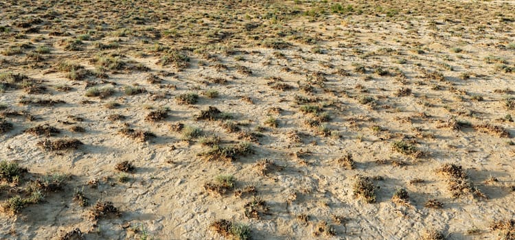 Panorama of dry barren terrain with scrubby vegetation in an arid semi-dessert region, deserted environmental background