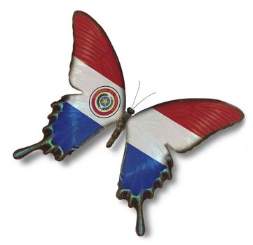 Paraguay flag on butterfly isolated oh white