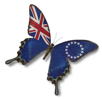 Cook Islands flag on butterfly isolated on white