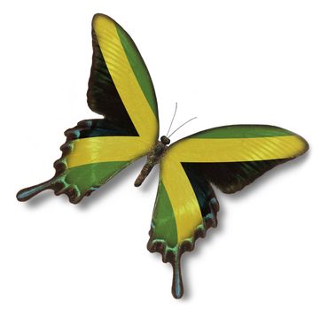 Jamaica flag on butterfly isolated on white