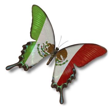 Mexican flag on butterfly isolated on white