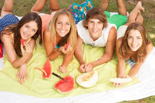 Friends on healthy fruit picnic at sunny day