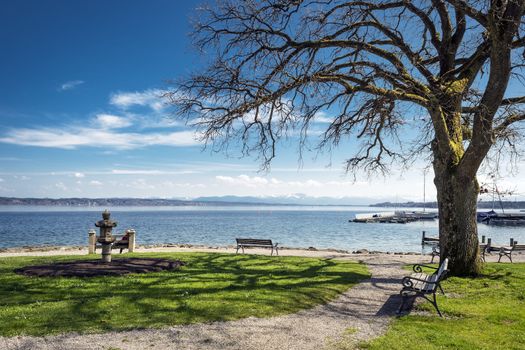 Lake Starnberg with bench, tree and overlooking the Alps in sunny weather and blue sky