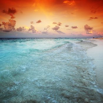 sunset on the sea beach