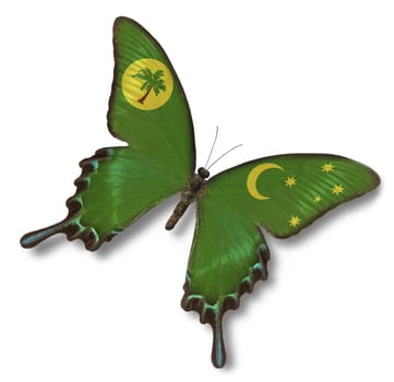 Cocos Island flag on butterfly isolated on white
