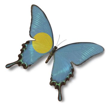 Palau flag on butterfly isolated on white