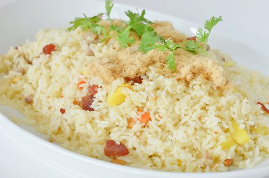  fried rice and  dried shredded pork  on white plate