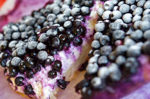 Close-up of Blueberry pie. Shallow DOF.