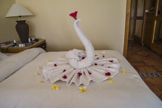 Every afternoon it was made a shape of a towel on the bed in the hotel room at the Hilton Sharm Dreams Naama Bay, Egypt.