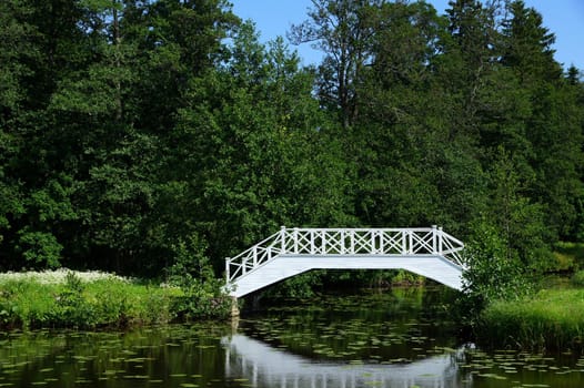 The white bridge on a background of lake and trees