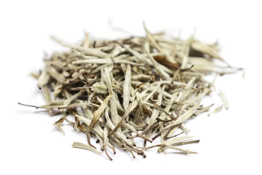 White tea. Closeup of chinese silver needle hair down white tea of premium luxury quality. Bai Hao Yinzhen tea on white background