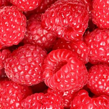 Raspberries - berry background texture of ripe fresh raspberry. Macro closeup photo.