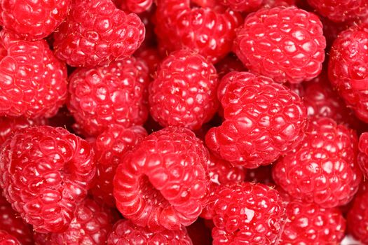 Raspberries - raspberry texture background of fresh red ripe berries. Close up image with great texture and detail.