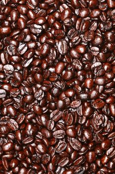 Coffee beans background texture. Coffee bean texture of dark french roast arabica beans.