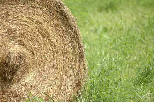 A late summer bale of hay in a field outside of Ann Arbor, Michigan.